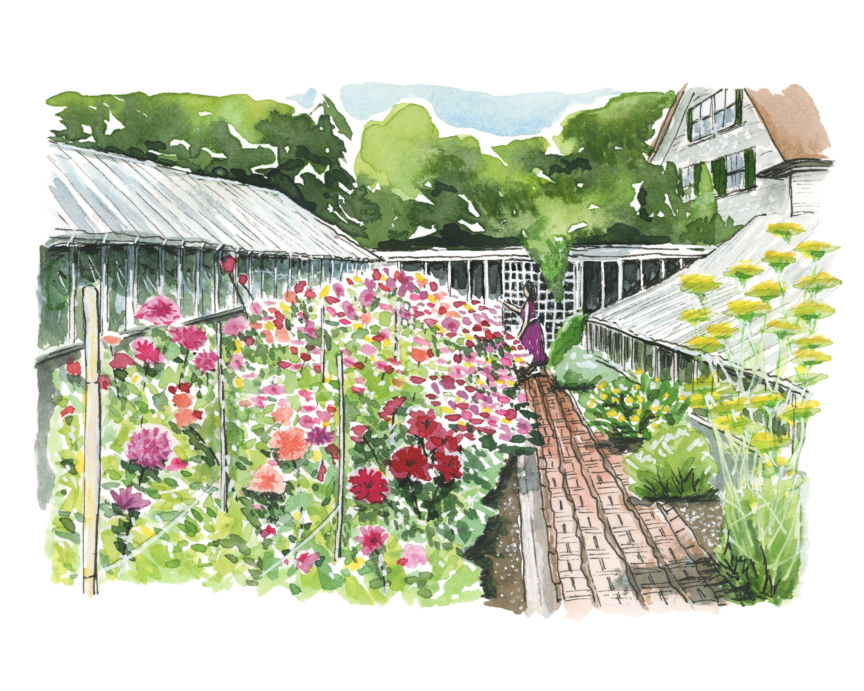 Greenhouse Glimmer - Fine Art Giclée Print