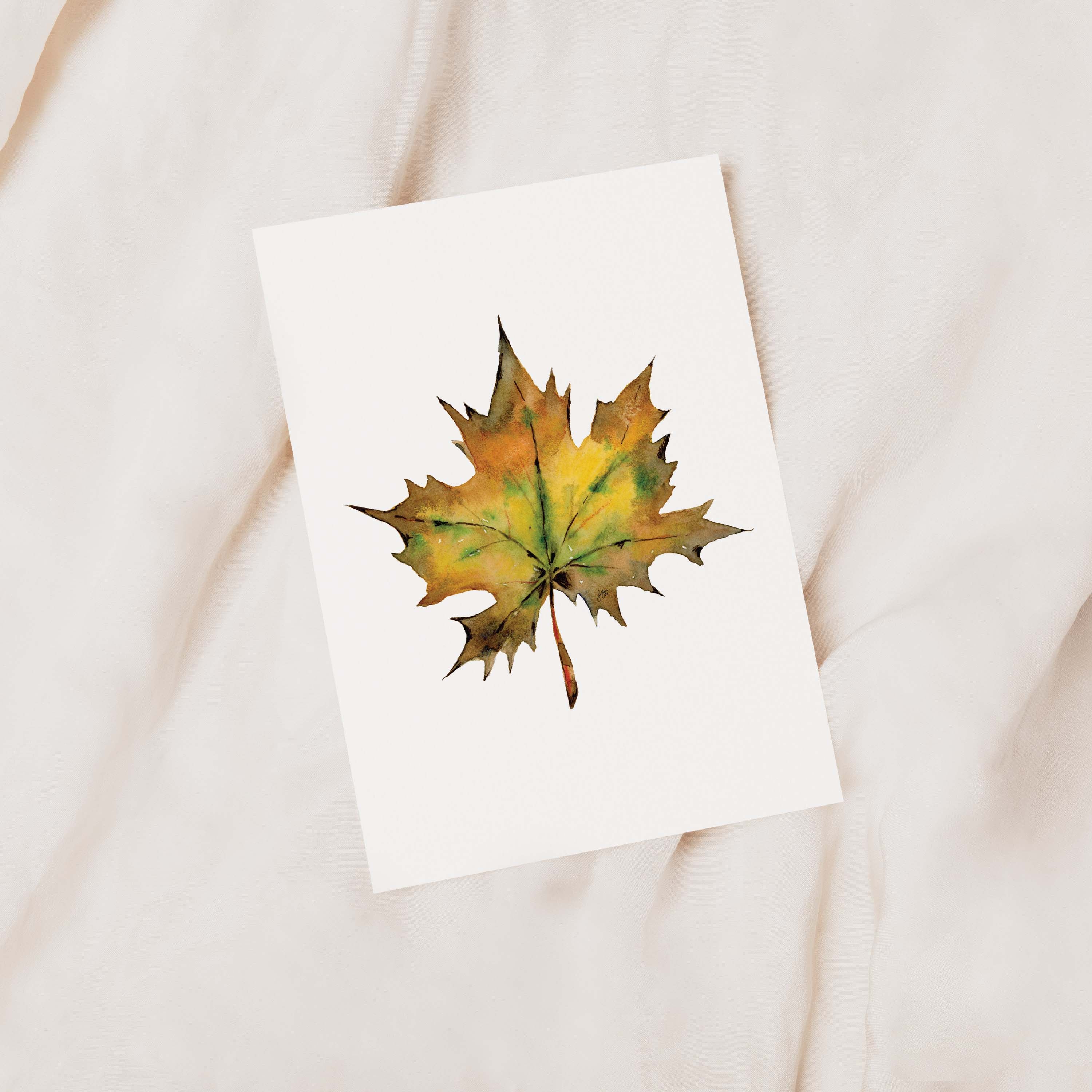 Cozy Harvest Card Set