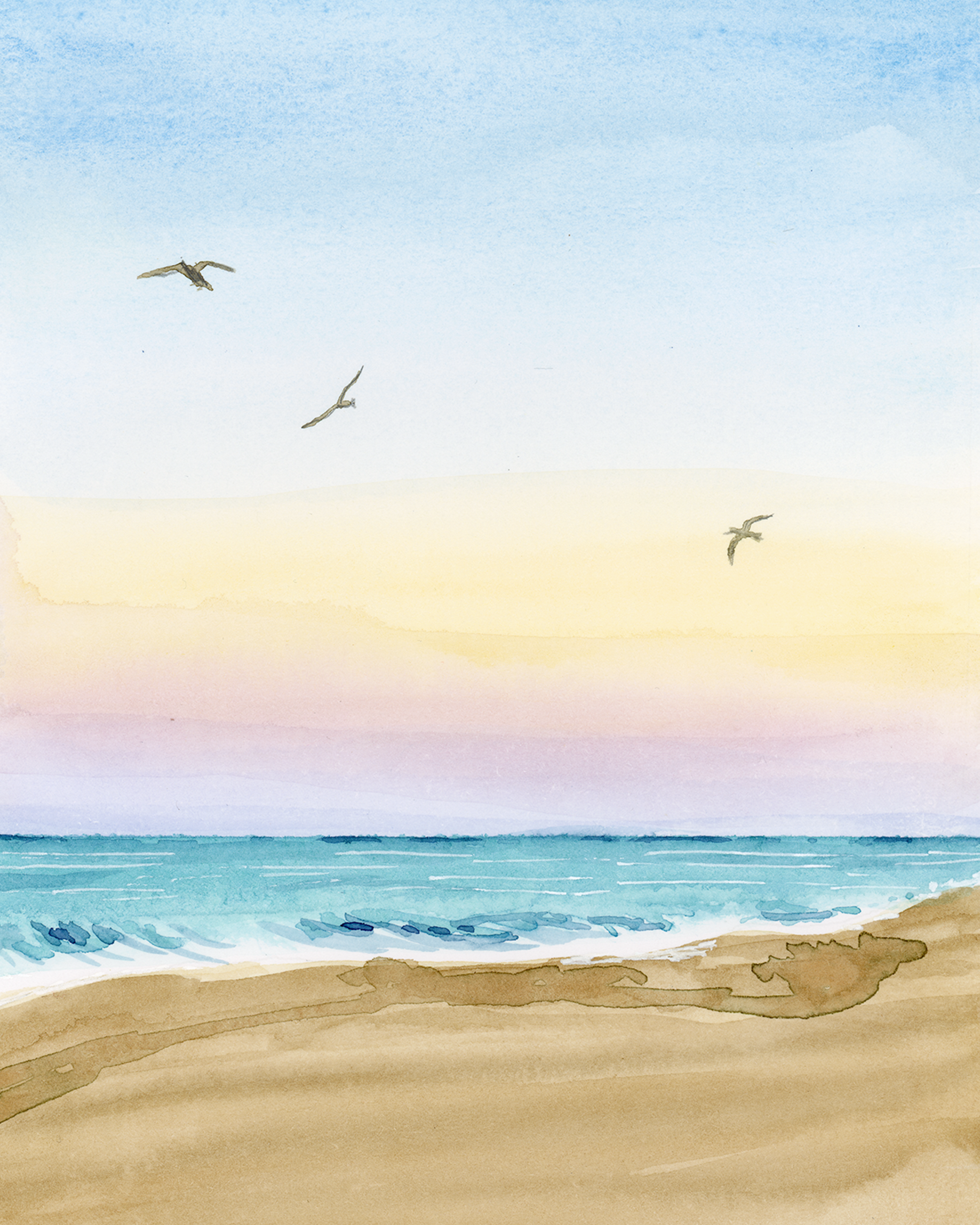 Laurie R.