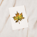 Cozy Harvest Card Set