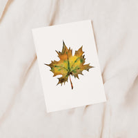 Cozy Harvest Card Set