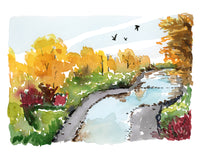 Crisp Creek - Fine Art Giclée Print