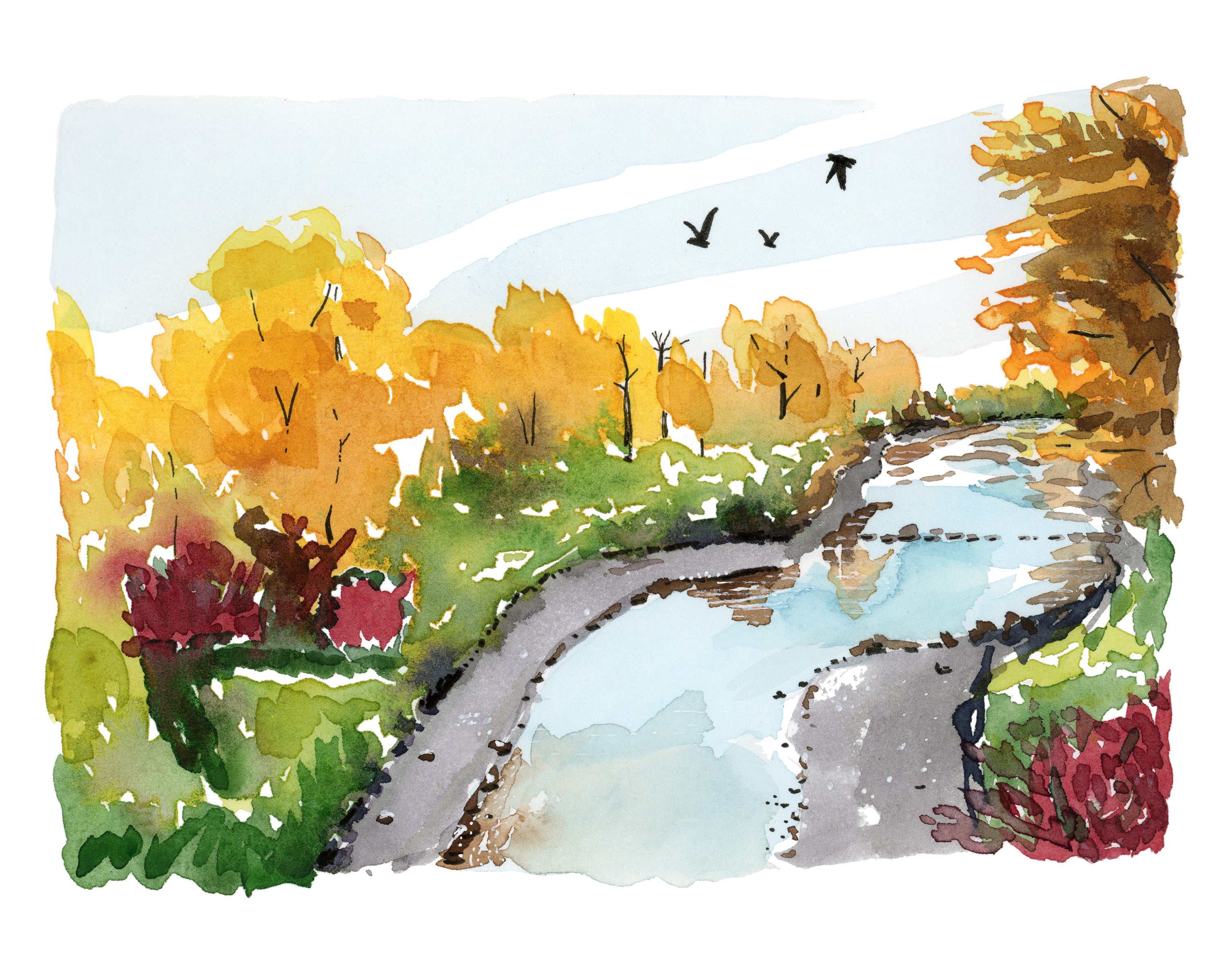 Crisp Creek - Fine Art Giclée Print